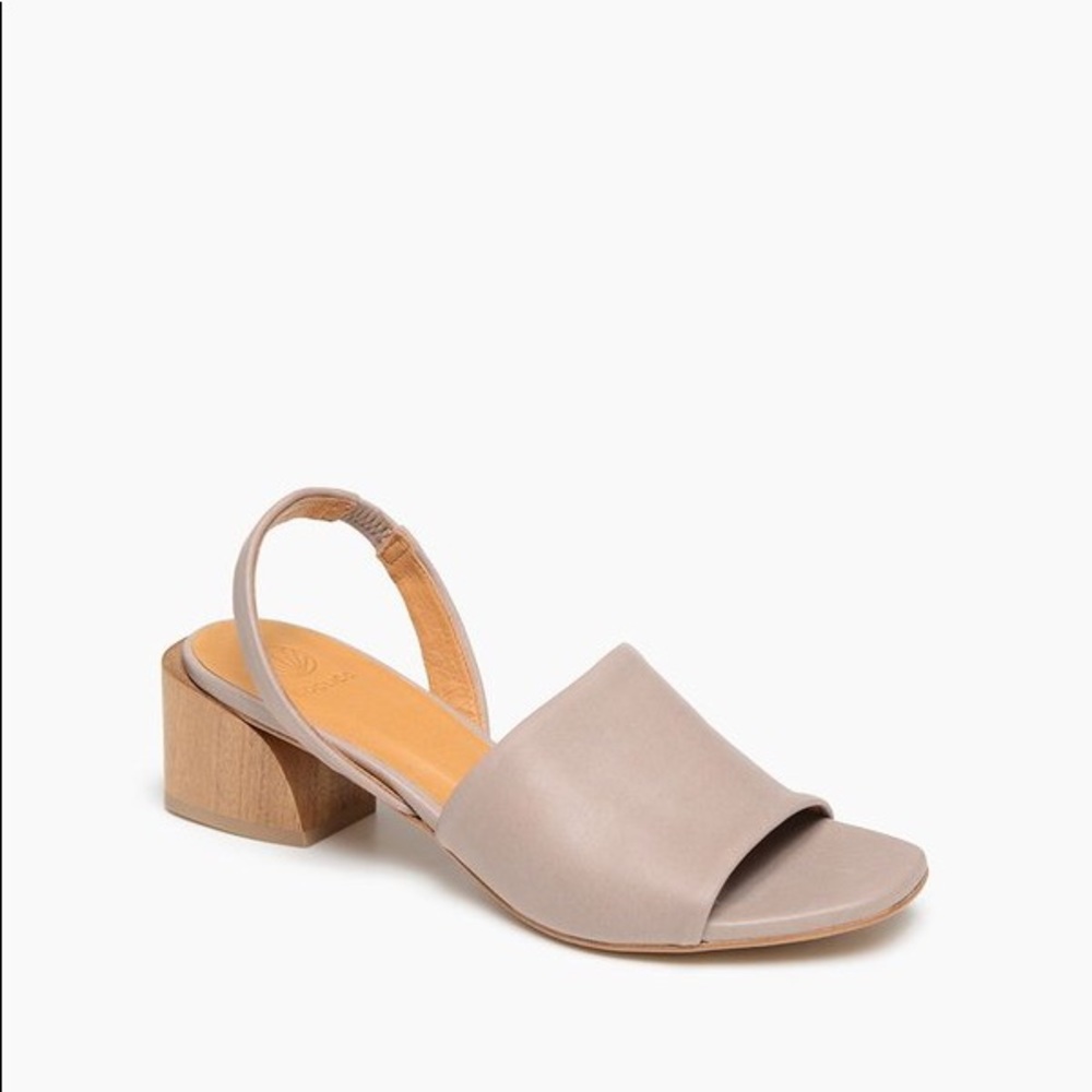 Coclico Okolo Sandal